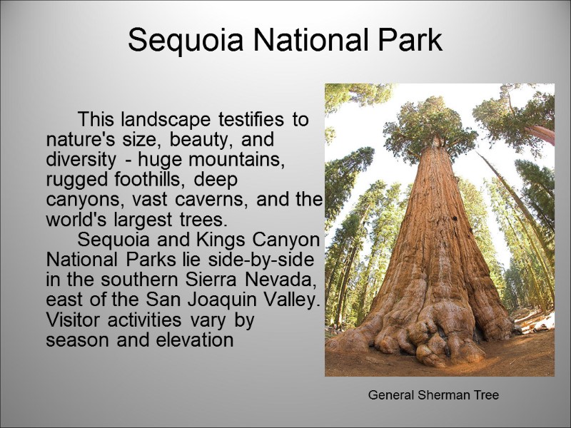 Sequoia National Park    This landscape testifies to nature's size, beauty, and